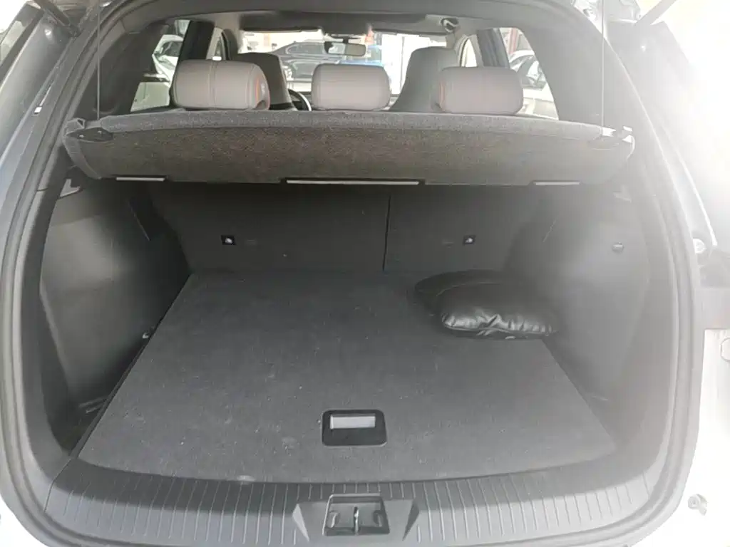 BYD Pro New Energy — миниатюра 19