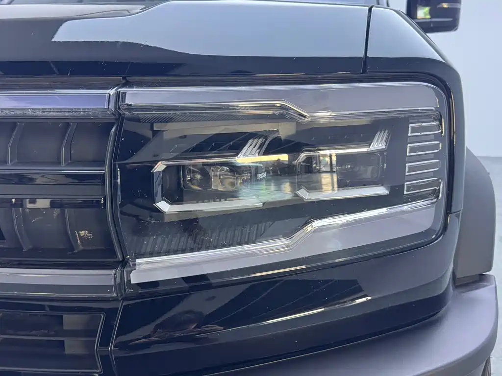 FANG CHENG BAO LEOPARD 5