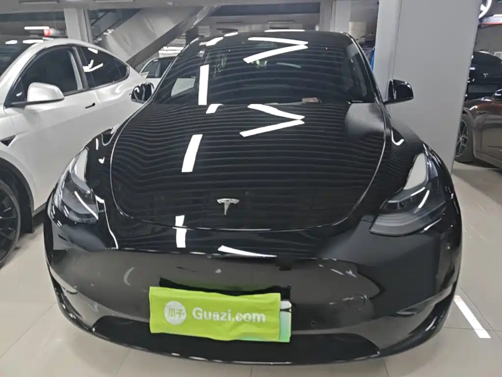 Tesla Model Y — миниатюра 3