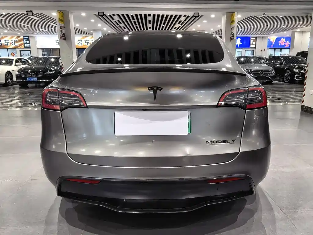 Tesla Model Y — миниатюра 5