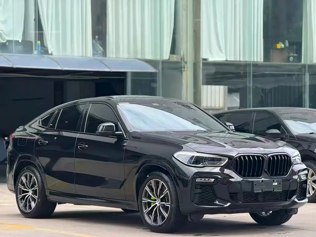 BMW X6 — миниатюра 3