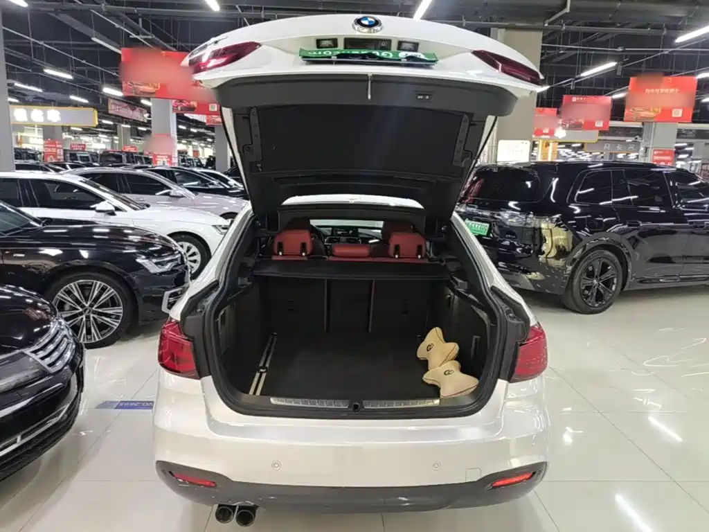 BMW 3 Series GT — миниатюра 19