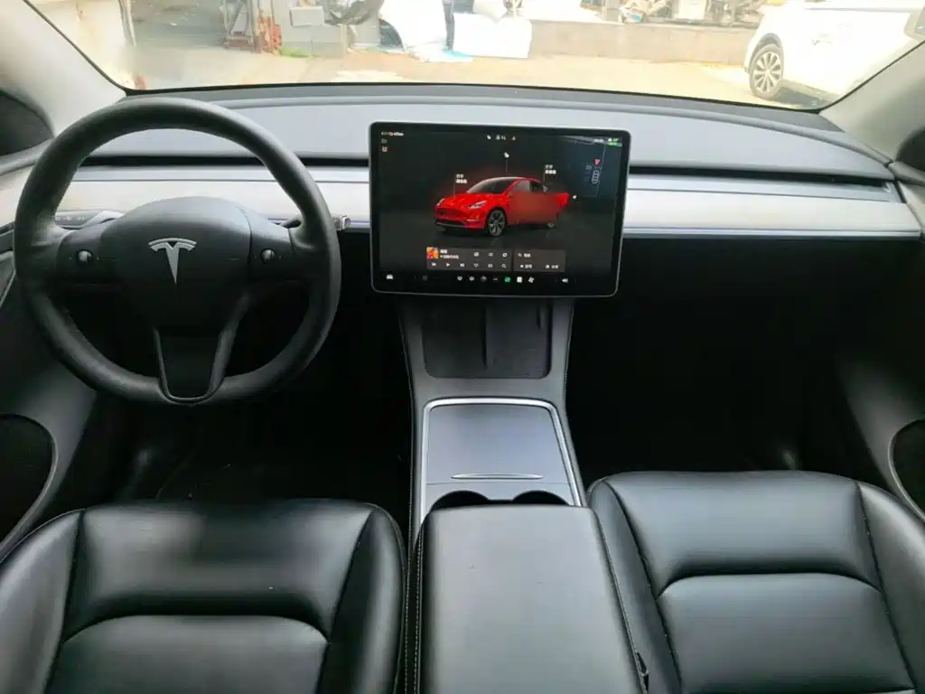 Tesla Model Y — миниатюра 10