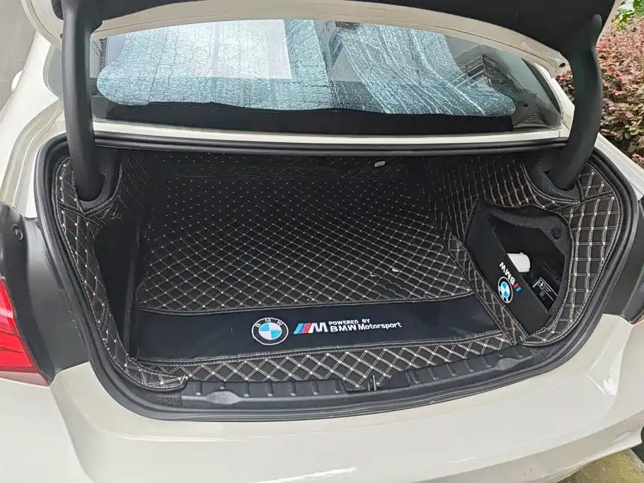 BMW 3 Series 3 2018 320Li M Sport
