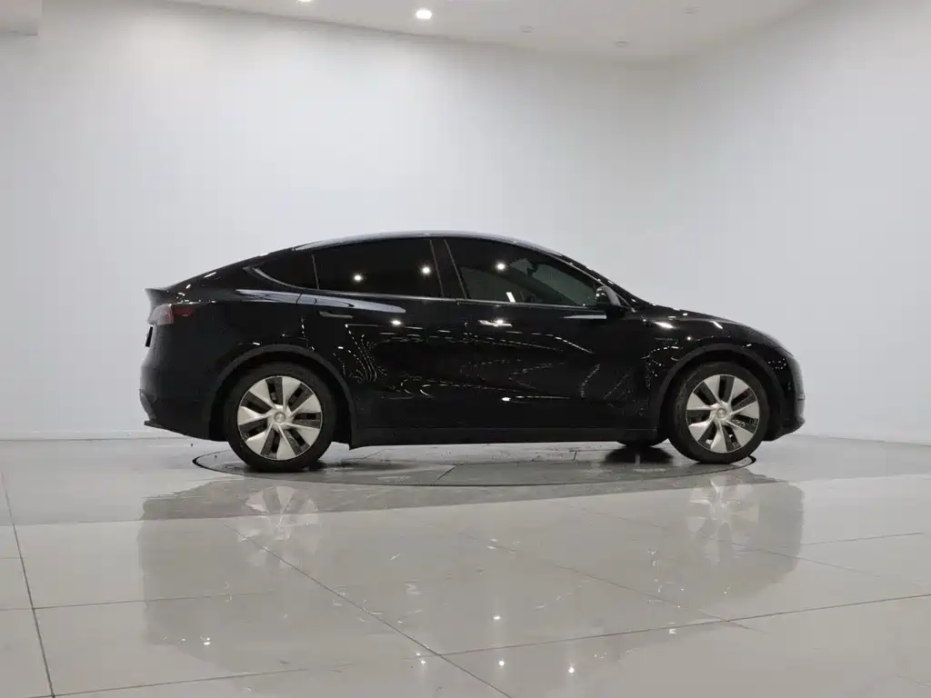 Tesla Model Y — миниатюра 7