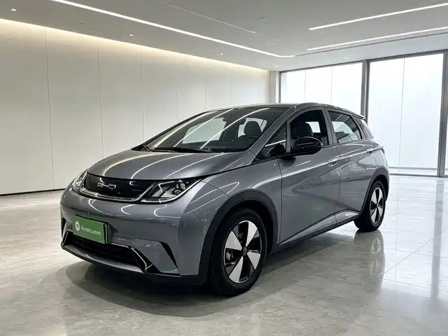 2024 BYD Dolphin