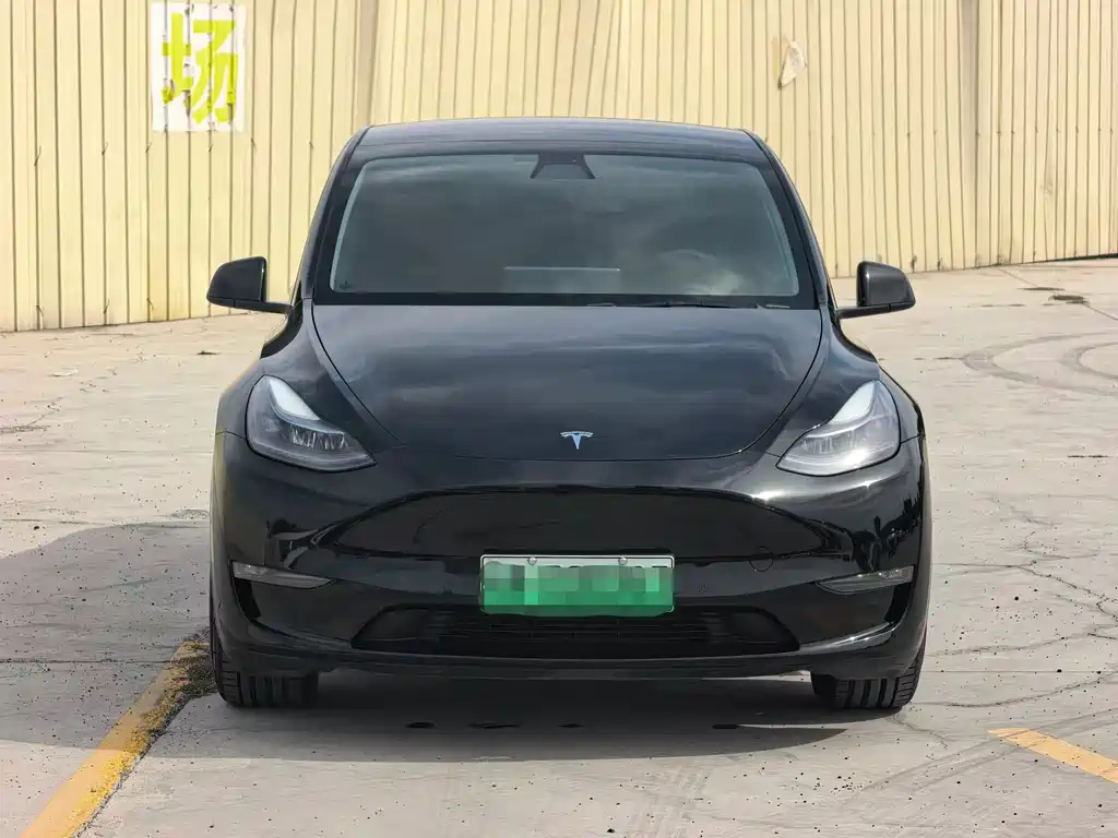 Tesla Model Y — миниатюра 2