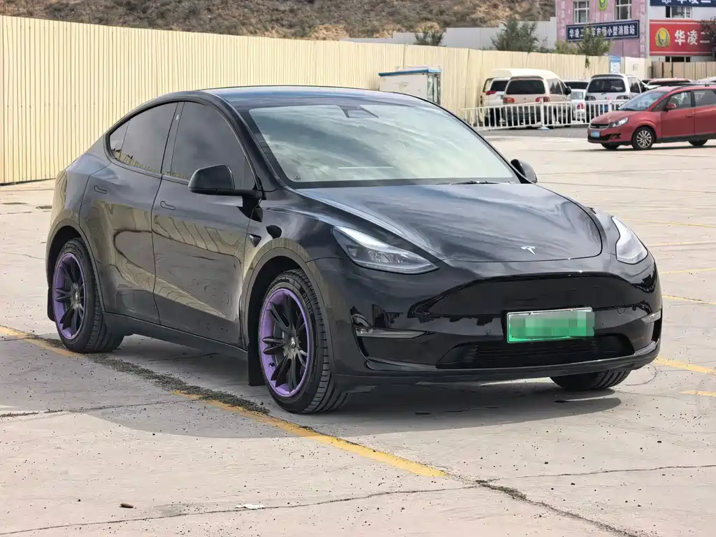 Tesla Model Y — миниатюра 3
