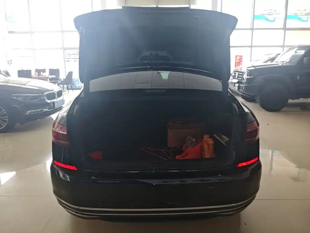 Volkswagen Passat — миниатюра 19