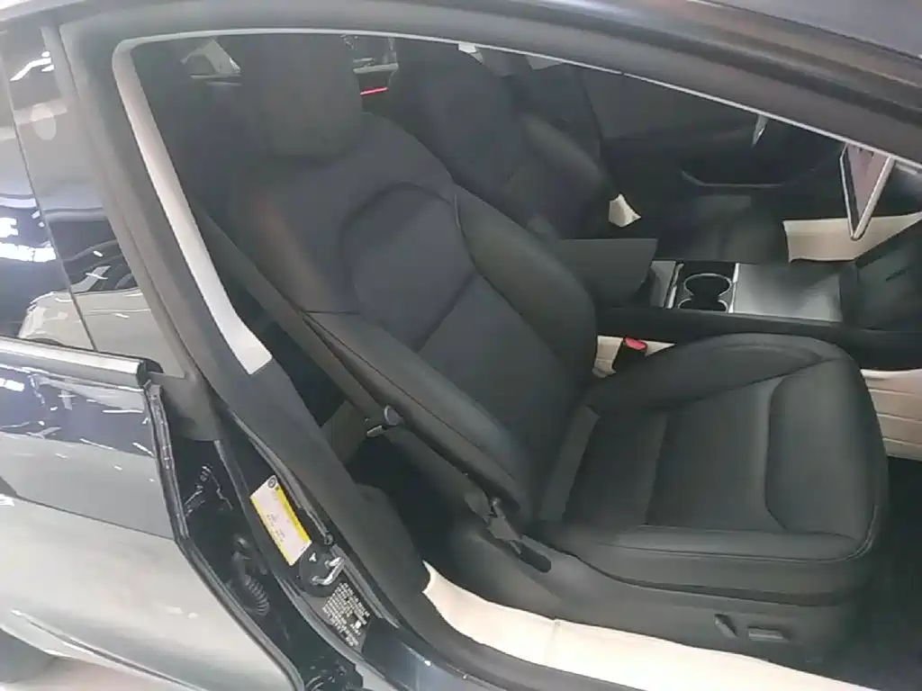 Tesla Model 3 — миниатюра 25