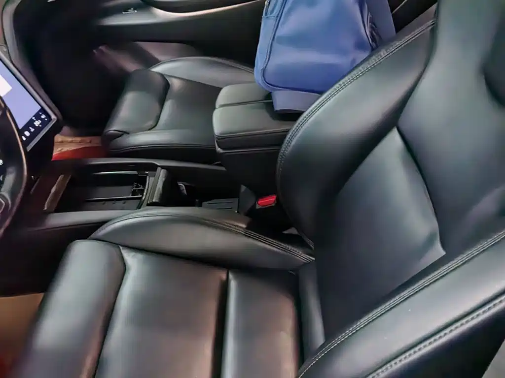 Tesla Model X — миниатюра 12