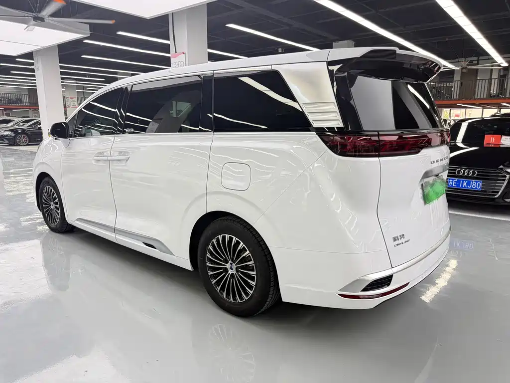 Denza Denza D9 — миниатюра 17