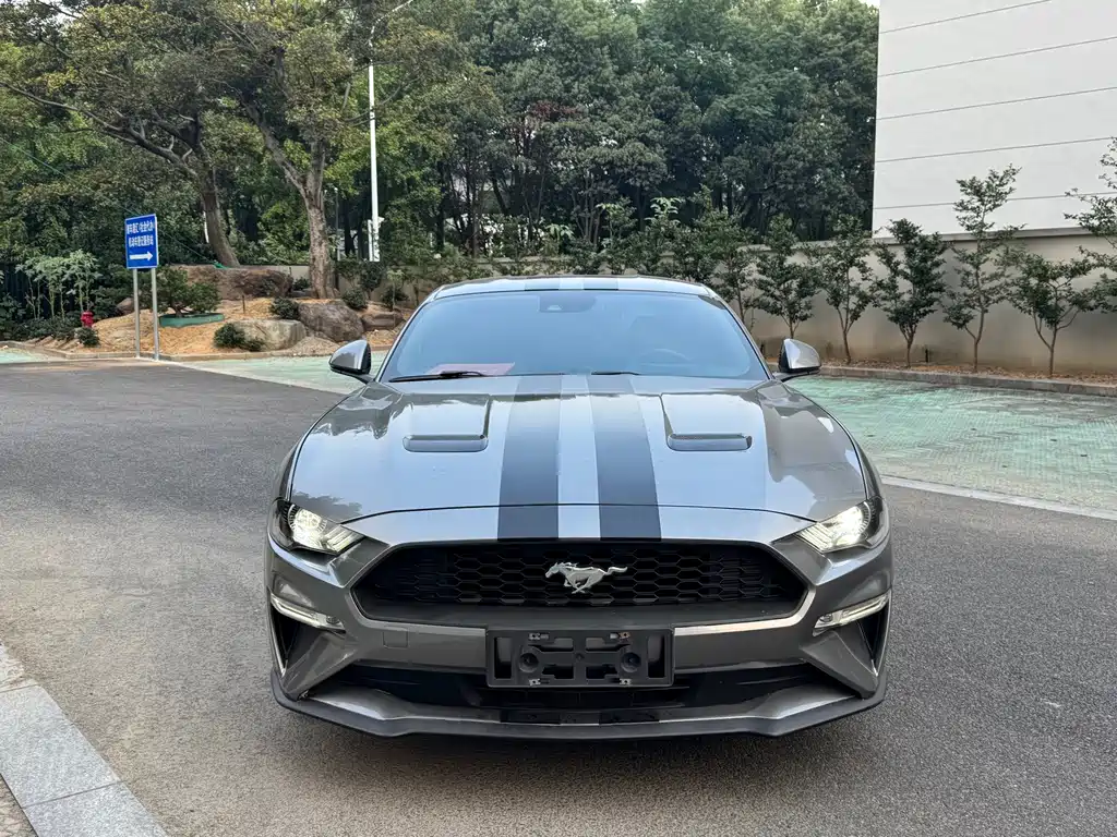 Ford Mustang — миниатюра 2