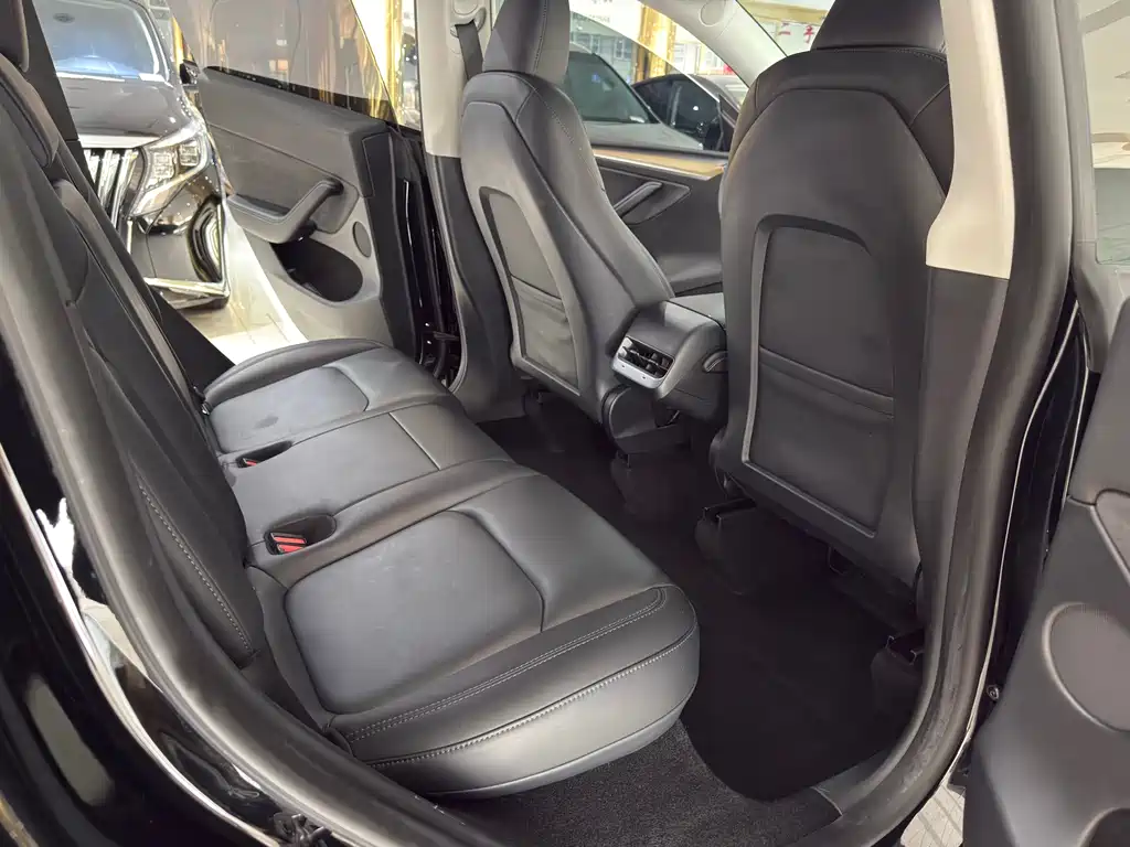 Tesla Model Y — миниатюра 10