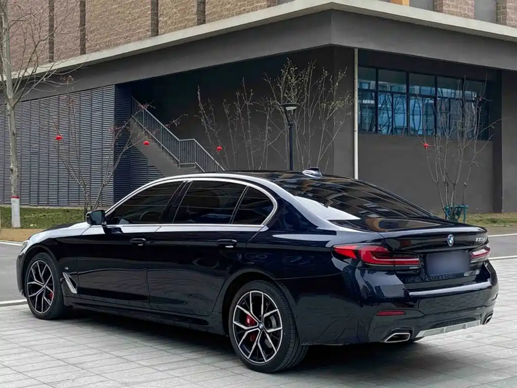BMW 5 Series — миниатюра 5
