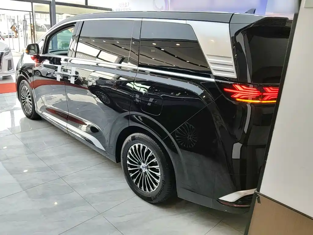 Denza Denza D9 — миниатюра 5