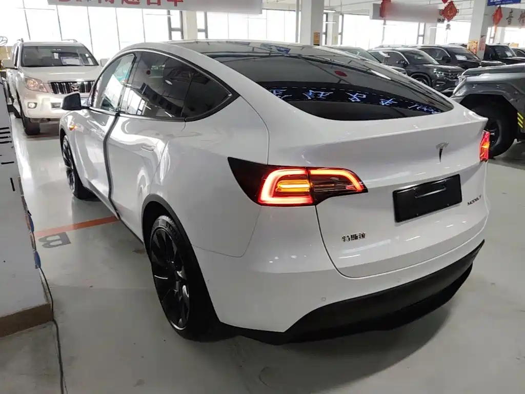 Tesla Model Y — миниатюра 5
