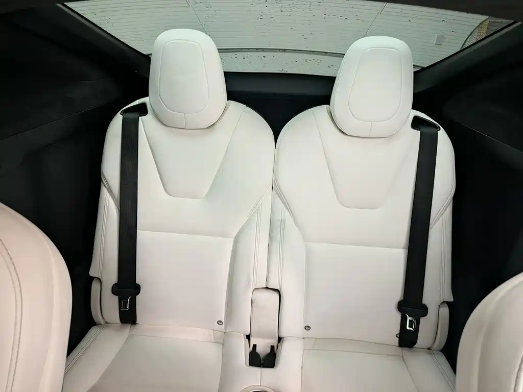 Tesla Model X — миниатюра 14