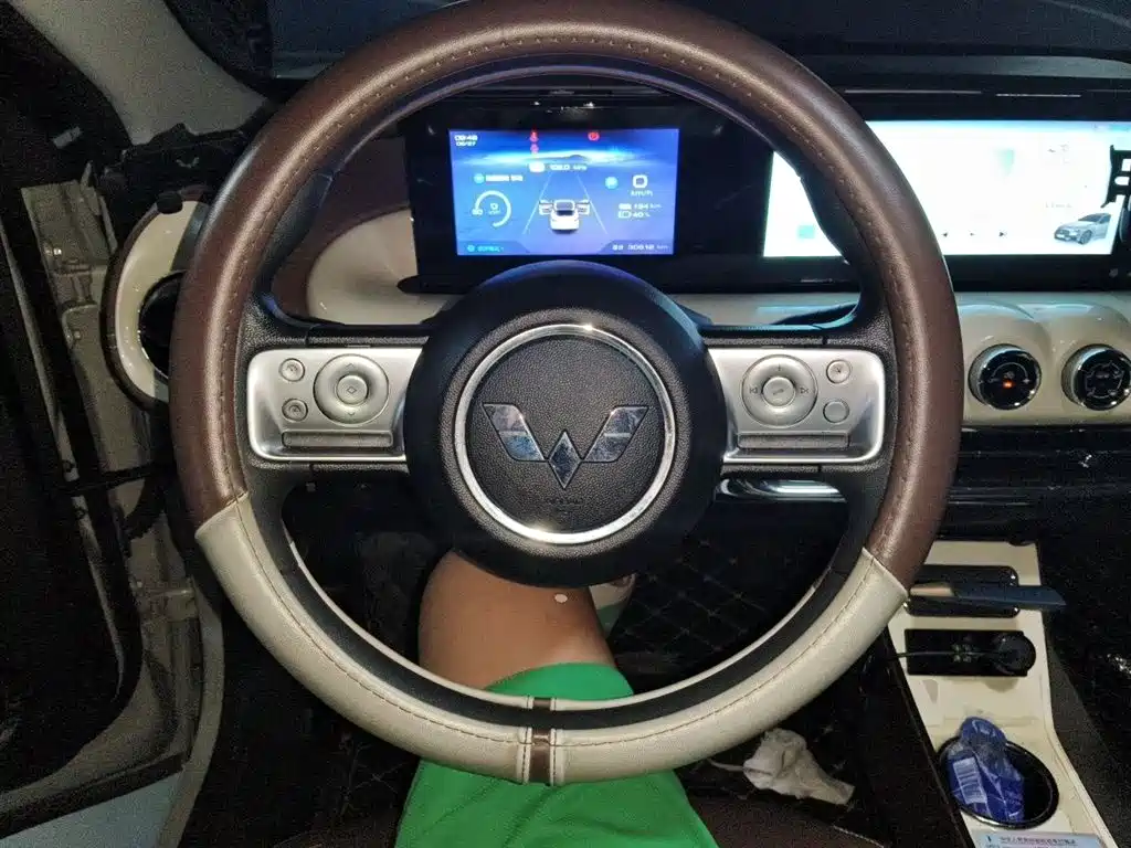 Wuling Binguo 2023 333km Enjoy +