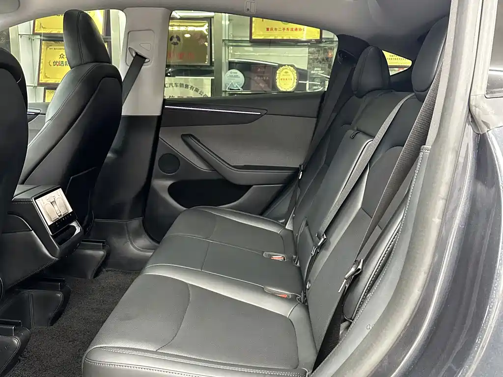 Tesla Model Y — миниатюра 8