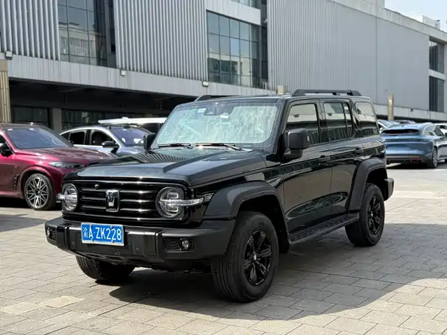 2025 TANK 300
