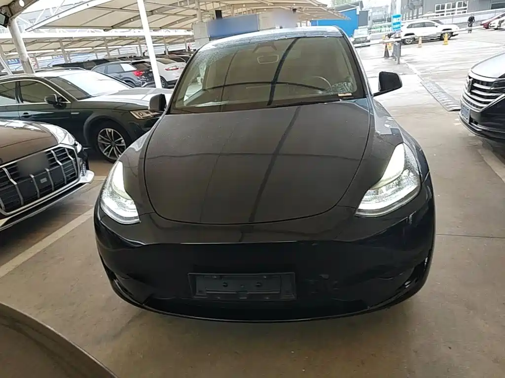 Tesla Model Y — миниатюра 3
