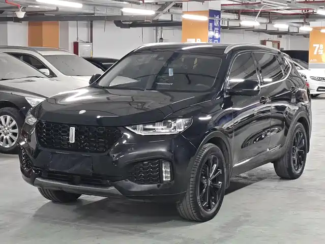 2019 Wey VV6