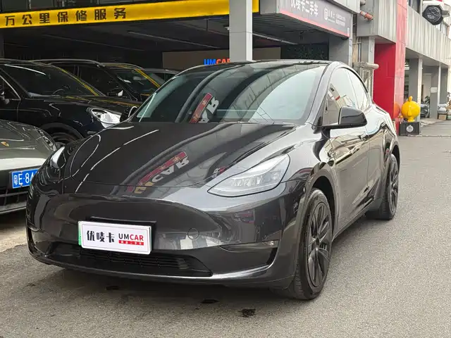 TESLA MODEL Y 2024