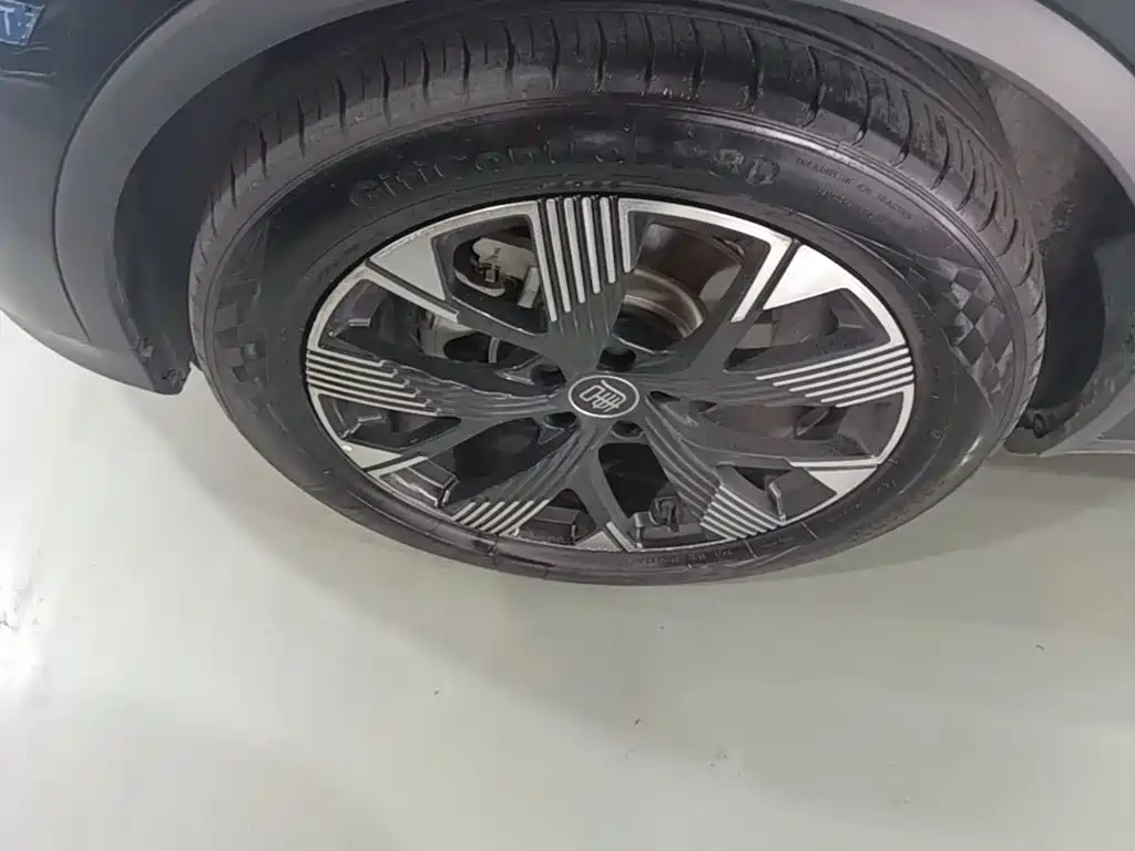 BYD Tang New Energy — миниатюра 23