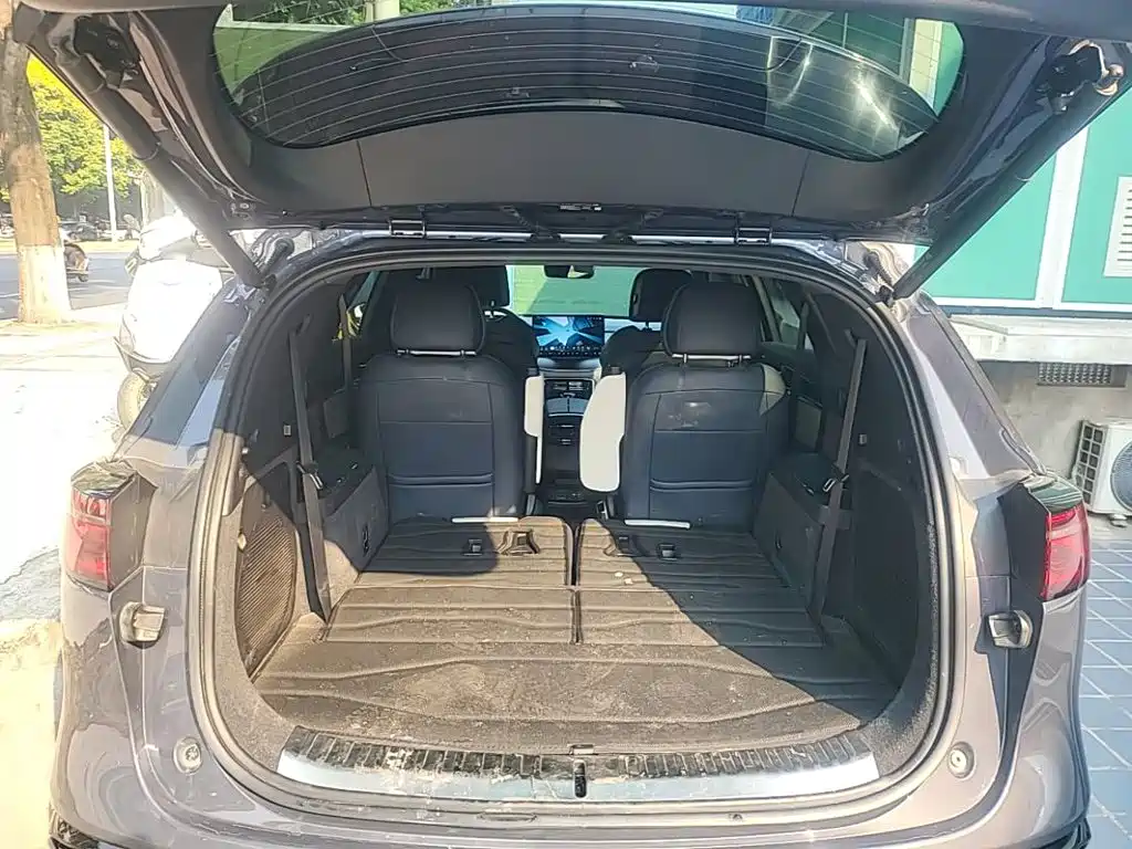 BYD Tang New Energy — миниатюра 19
