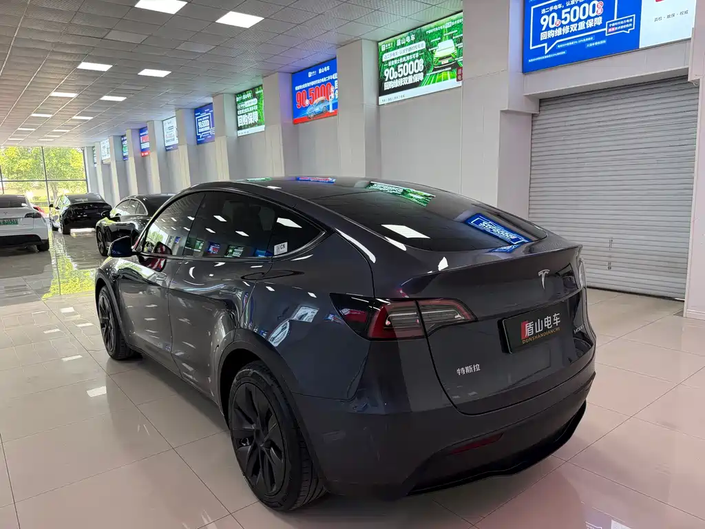 Tesla Model Y — миниатюра 4