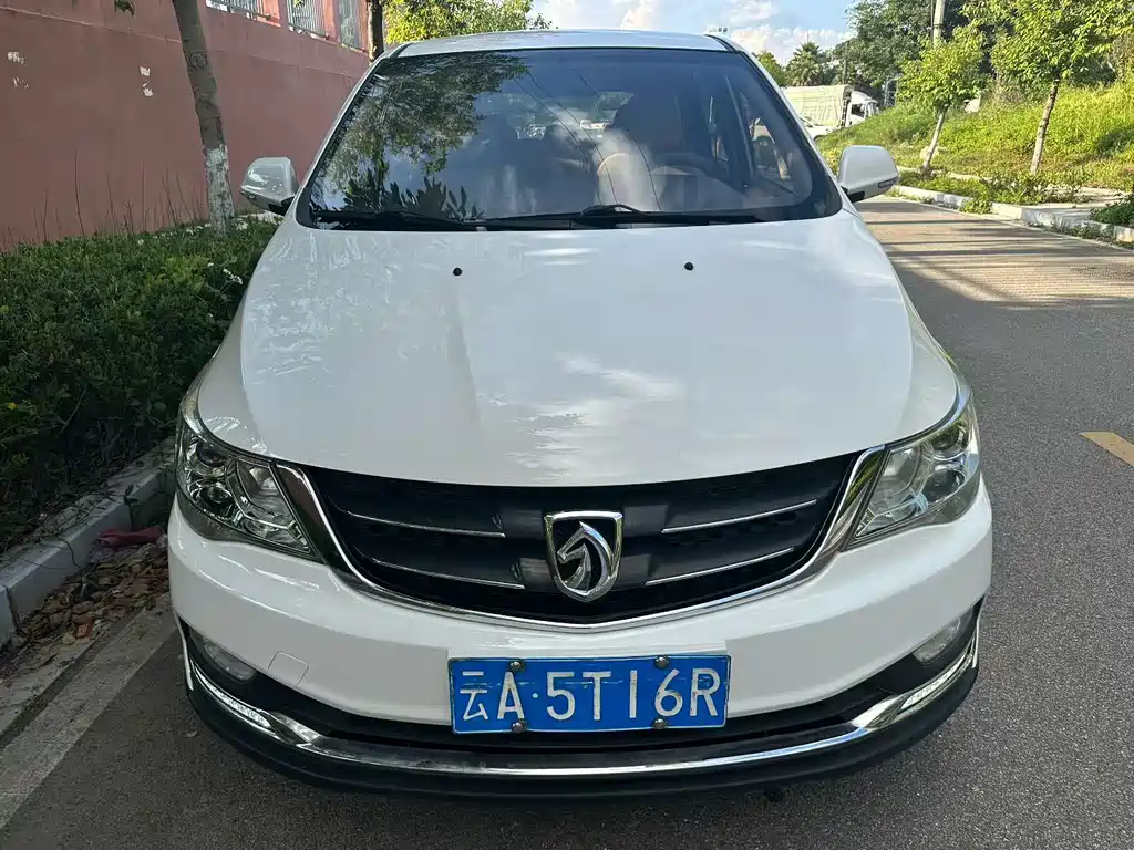 BAOJUN  730
