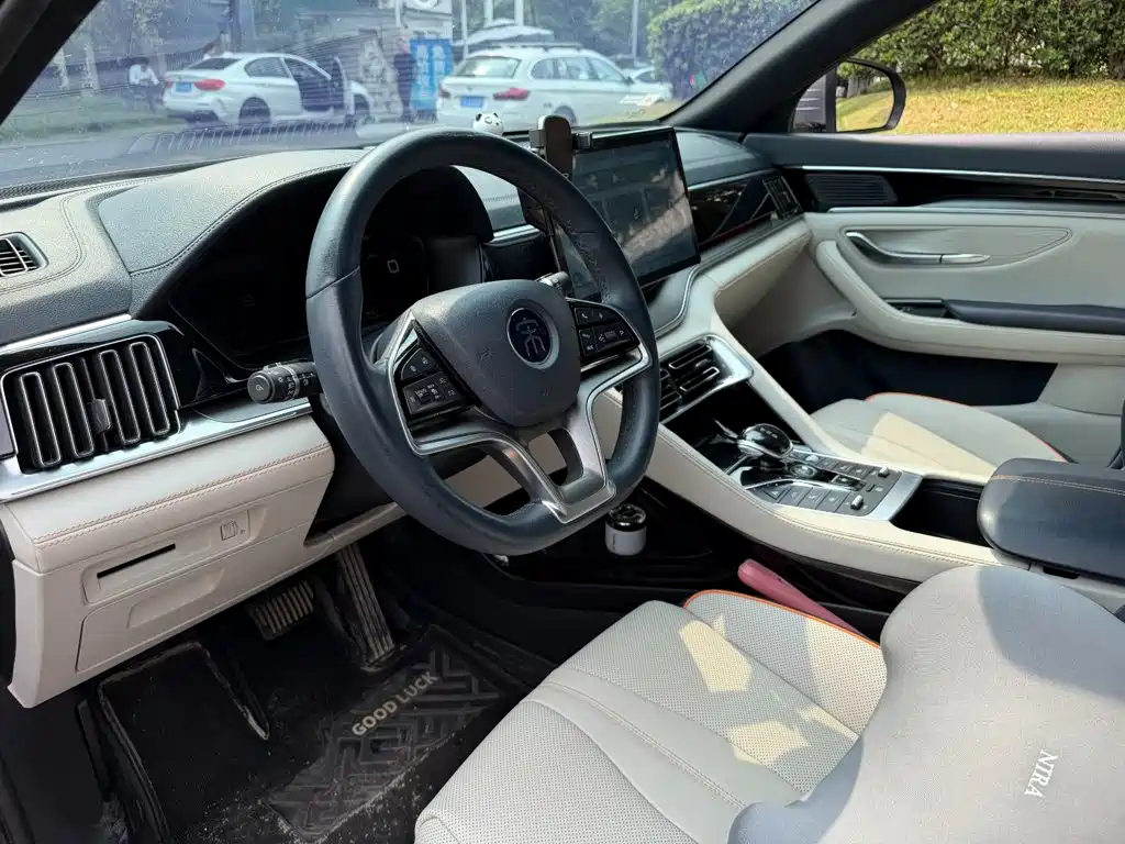 BYD PLUS New Energy — миниатюра 7