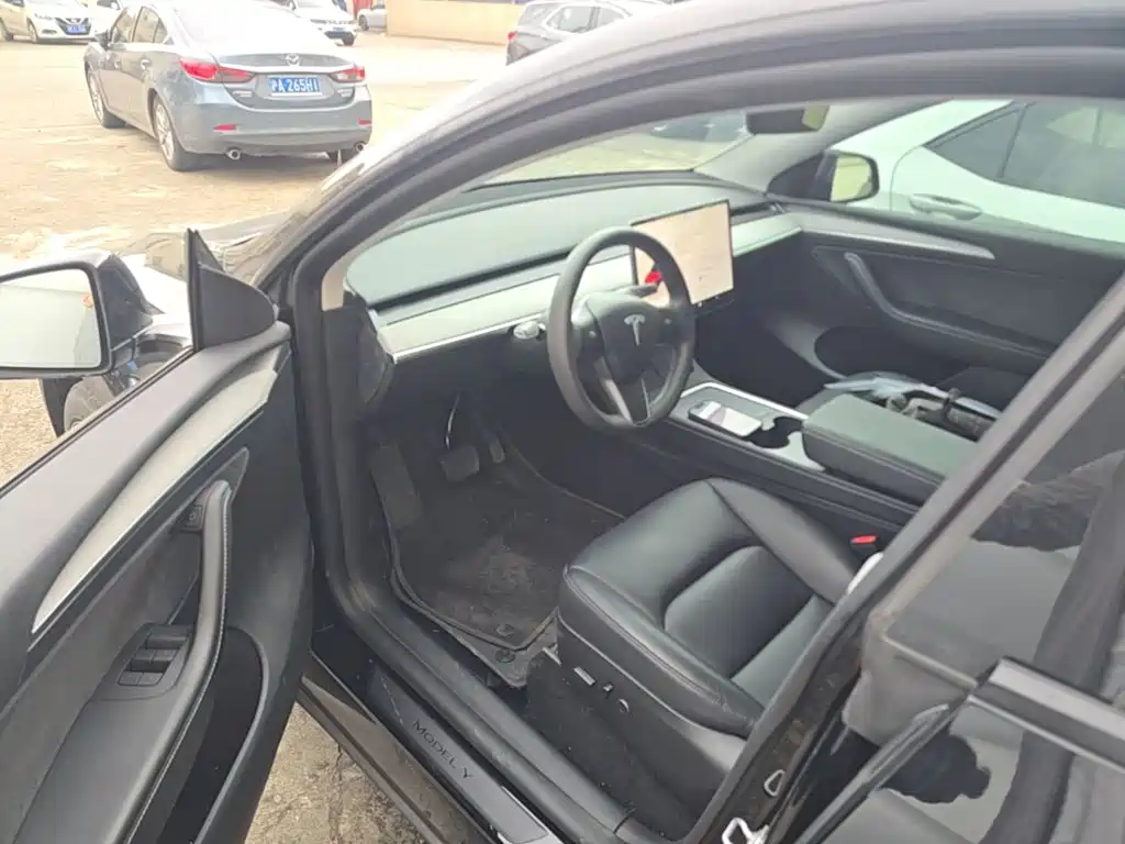Tesla Model Y — миниатюра 14