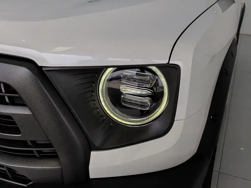 Haval Dargo 2.0T DCT 4WD Xiaotian Dog Edition, фото 4