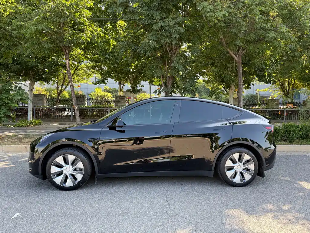 Tesla Model Y — миниатюра 20