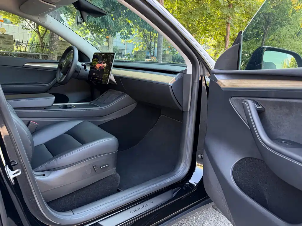 Tesla Model Y — миниатюра 13