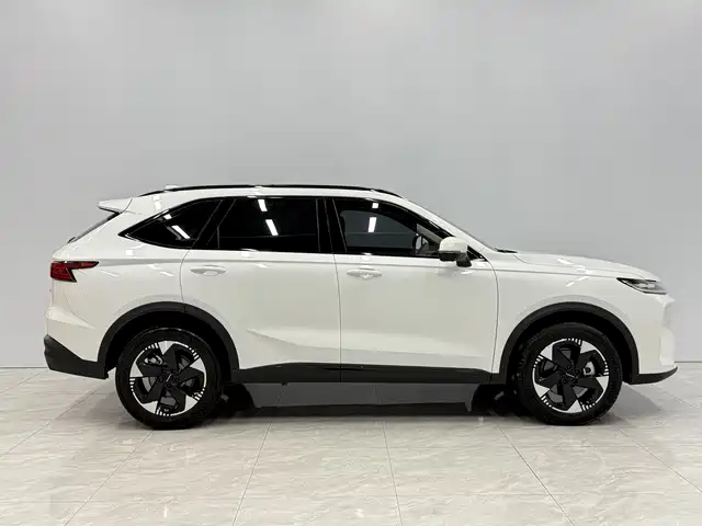 Haval 哈弗H6L — миниатюра 6