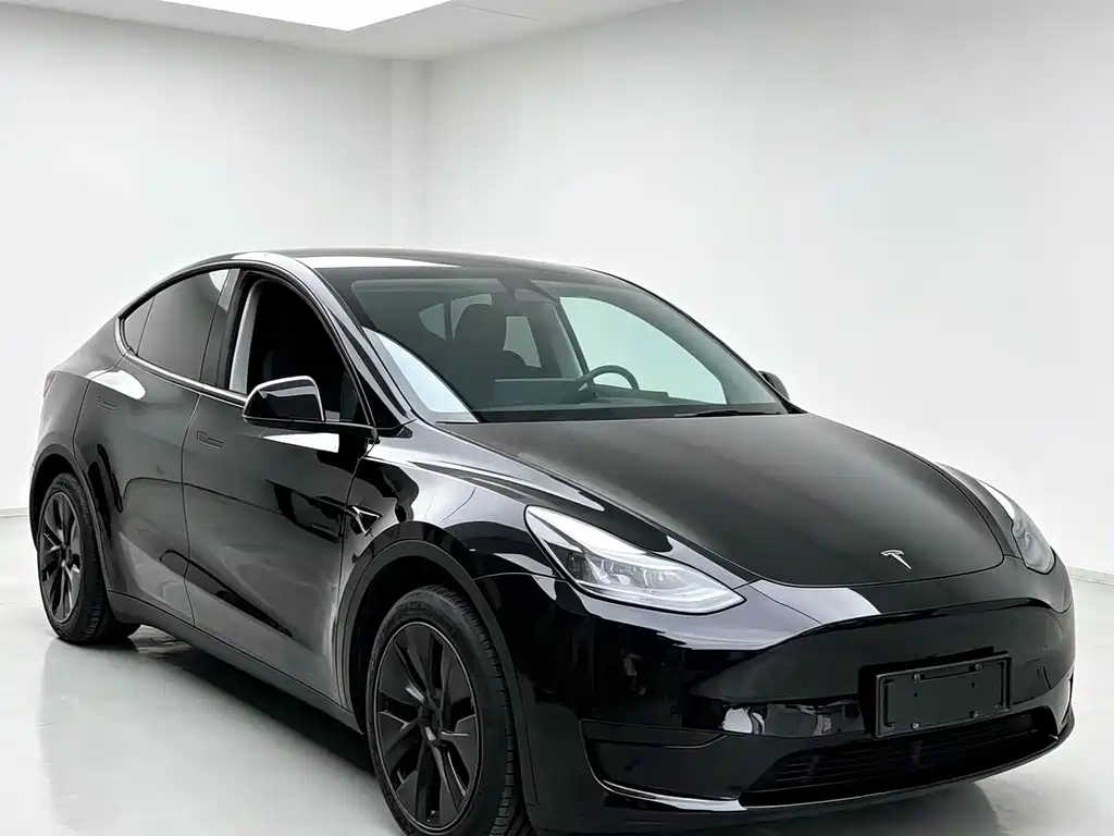 Tesla Model Y — миниатюра 2