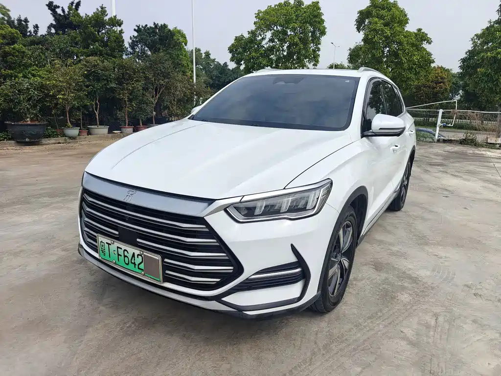 BYD Pro New Energy