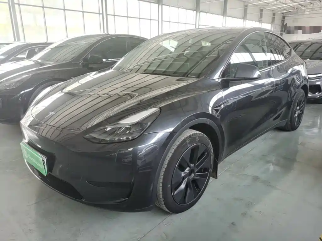 Tesla Model Y — миниатюра 2