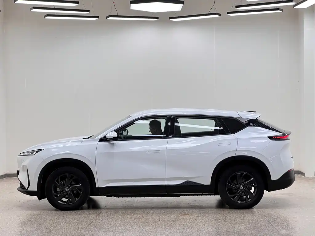 Aeolus SKY EV01 — миниатюра 7