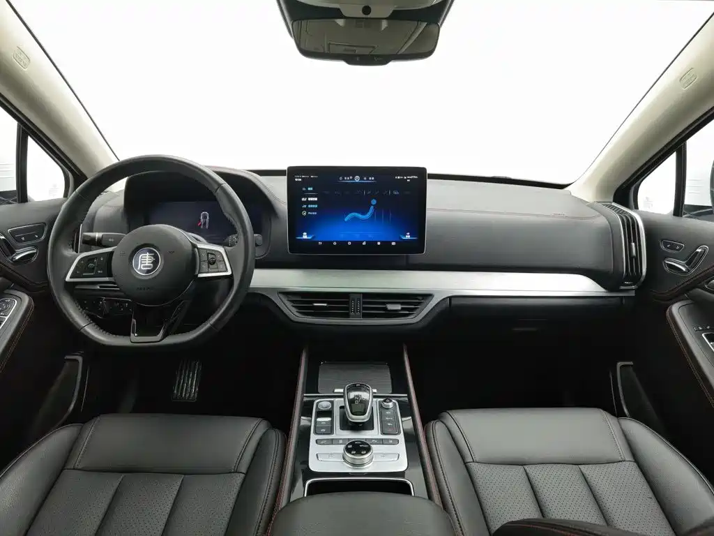 BYD Tang New Energy — миниатюра 5