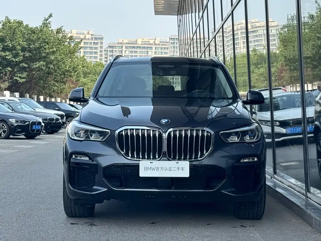 BMW X5 (Import) — миниатюра 2