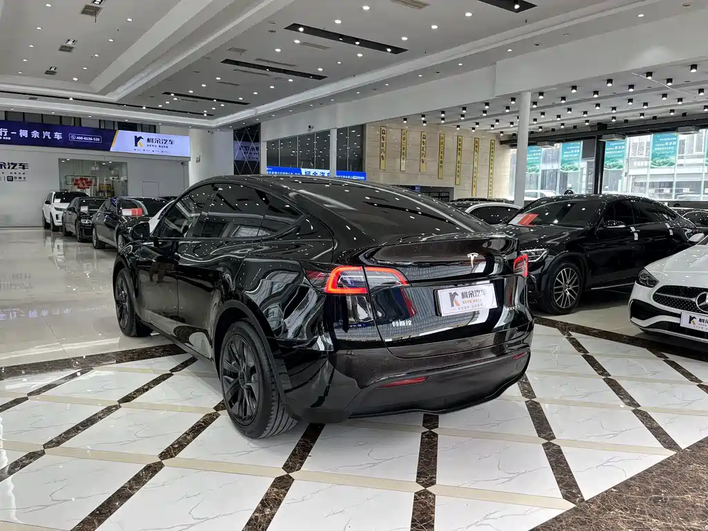Tesla Model Y — миниатюра 15