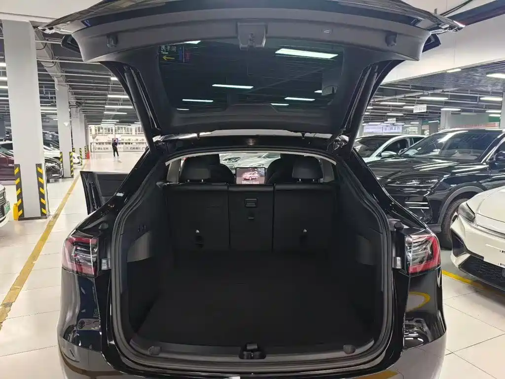 Tesla Model Y — миниатюра 19