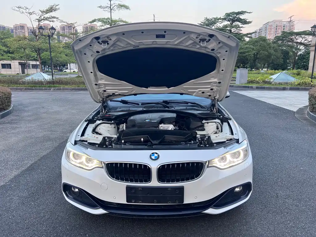BMW 4 Series — миниатюра 20
