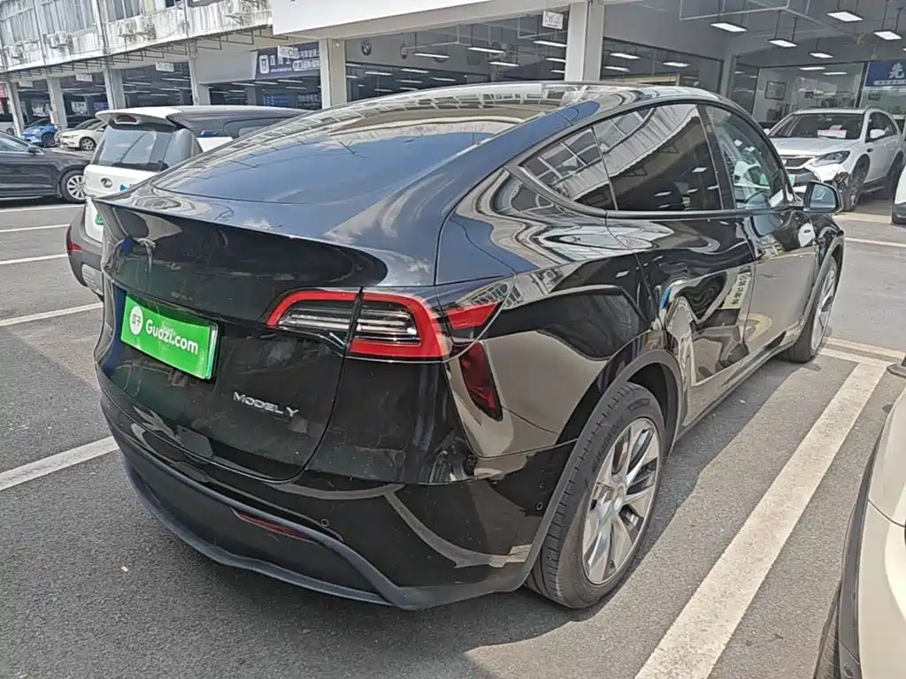 Tesla Model Y — миниатюра 5