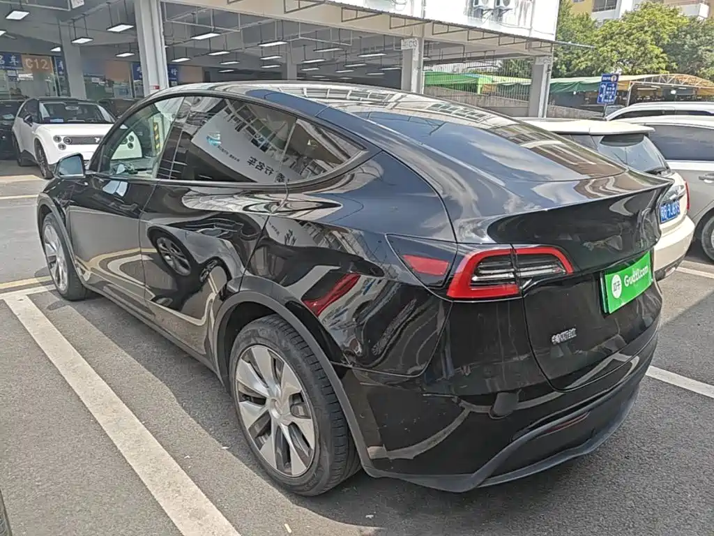 Tesla Model Y — миниатюра 23
