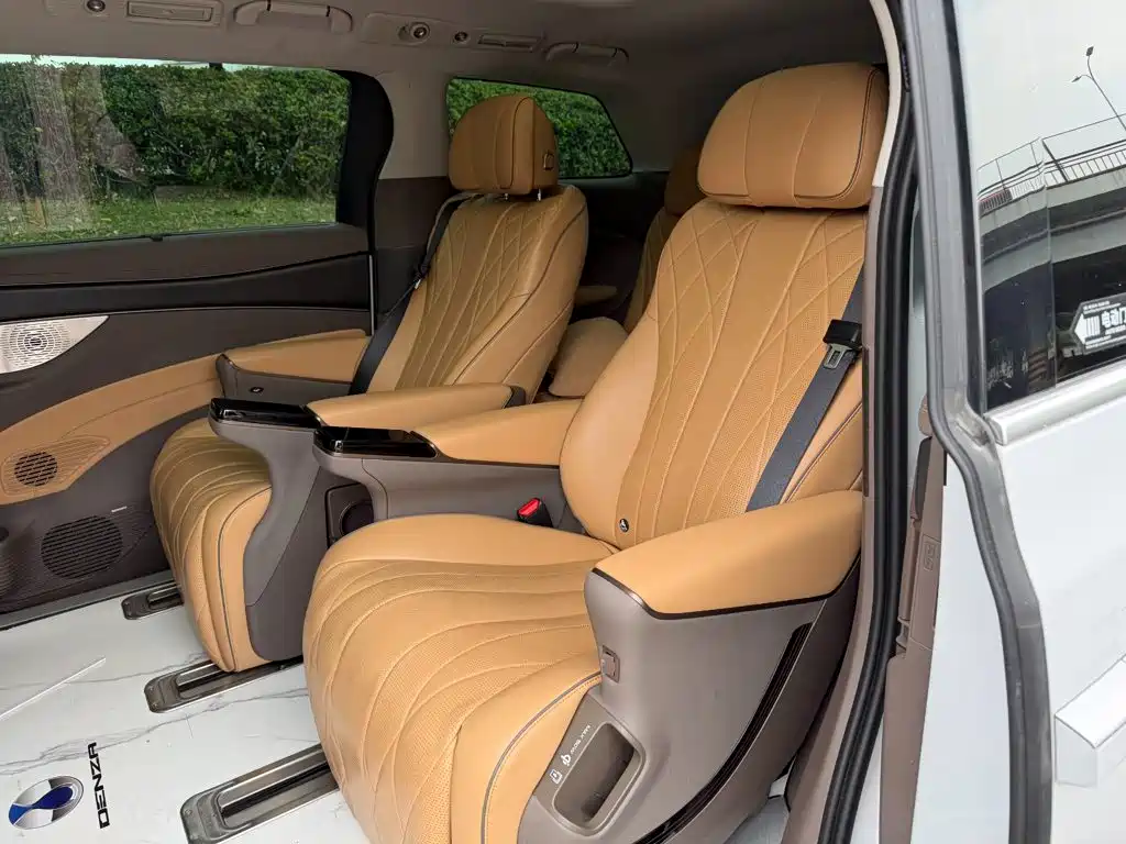 Denza Denza D9 — миниатюра 12